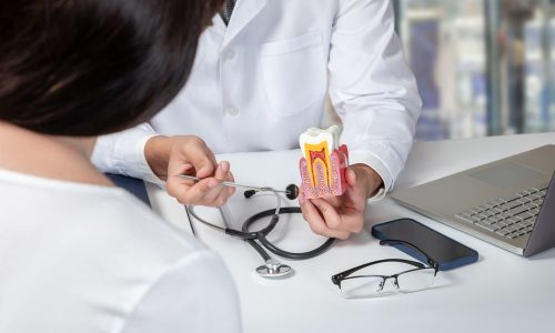 Un dentiste explique un traitement de canal avec un modèle